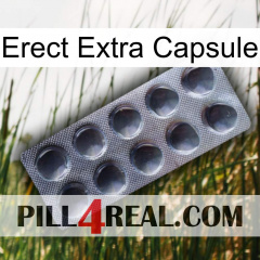 Erect Extra Capsule 30